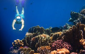 Man snorkeling near coral reef wearing reef-safe mineral sunscreen Goodspread